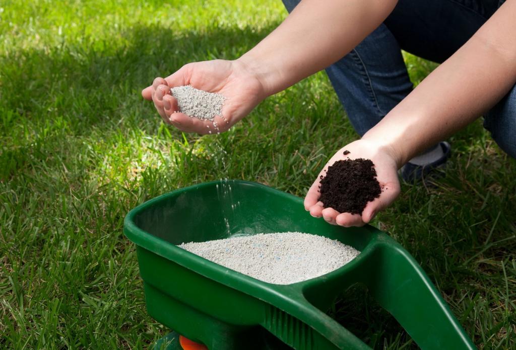 Для подкормки газона лучше подбирать удобрения с большим содержанием азотистых элементов